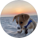 Tường Vi Lê profile picture