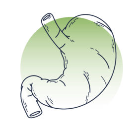 NHÓM CẢI THIỆN TIÊU HÓA