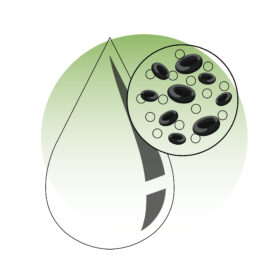 NHÓM MỠ MÁU & TIỂU ĐƯỜNG