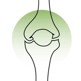 NHÓM XƯƠNG KHỚP & THẬN