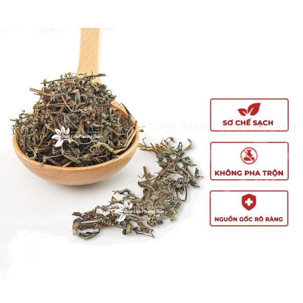 Cây Cỏ Mực 4 cay co muc 2 1