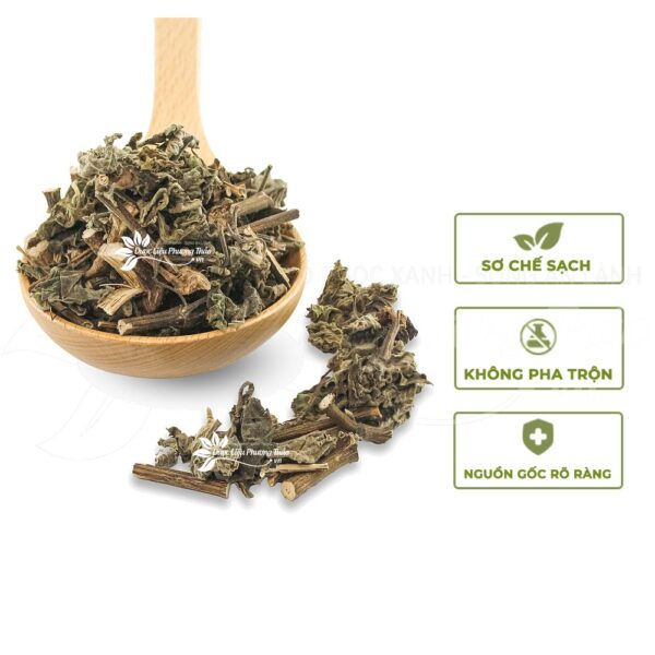 Cỏ Xước 4 cay co xuoc 2