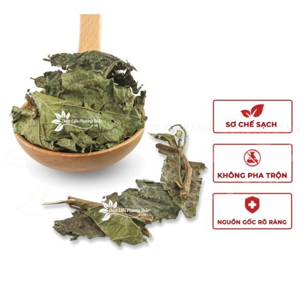 Cây Xạ Đen 4 cay xa den 2 1