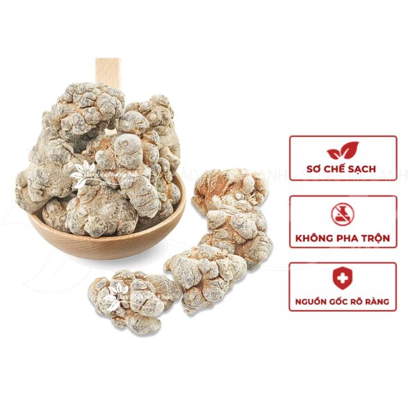 Củ Tam Thất Bắc 4 cu tam that bac 2 1