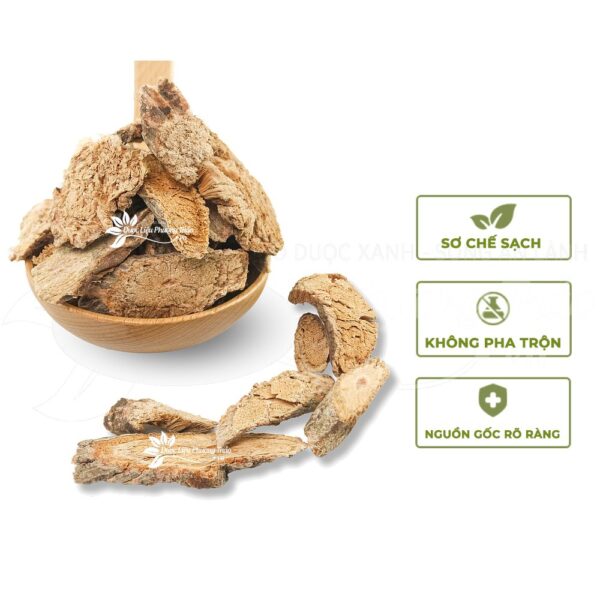 Dây Đau Xương 4 day dau xuong 2 1