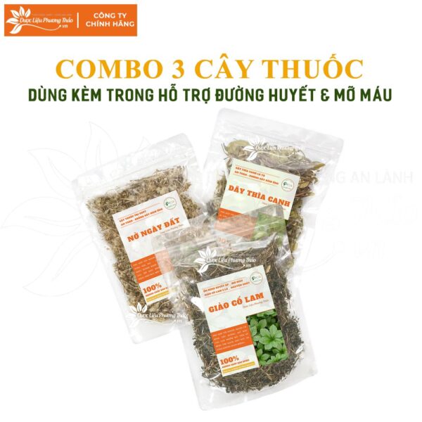 Dây Thìa Canh 5 day thia canh 3 1