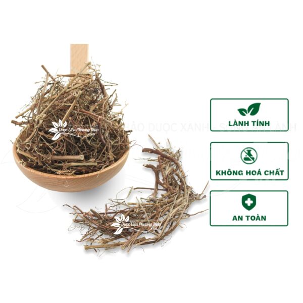 Diệp Hạ Châu 4 diep ha chau 1 1