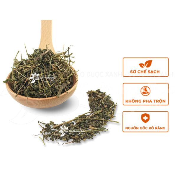 Giảo Cổ Lam 4 giao co lam 2 1