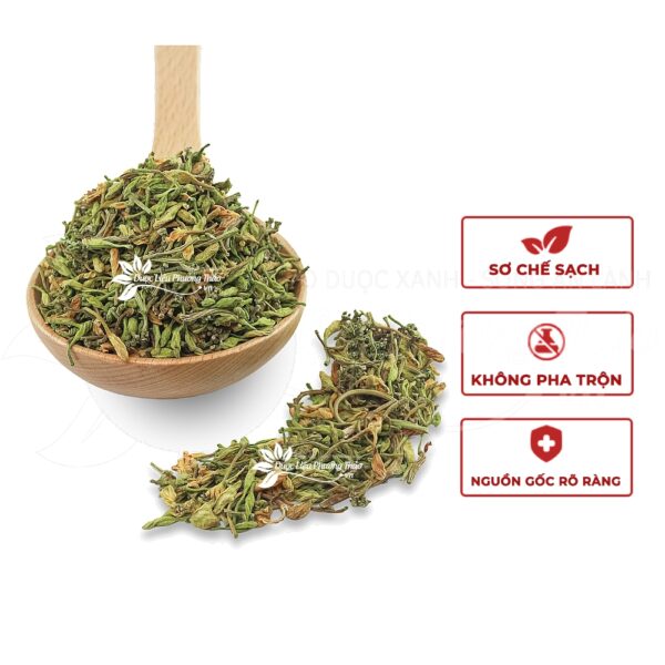 Hoa Đu Đủ Đực 4 hoa du du duc 2 1