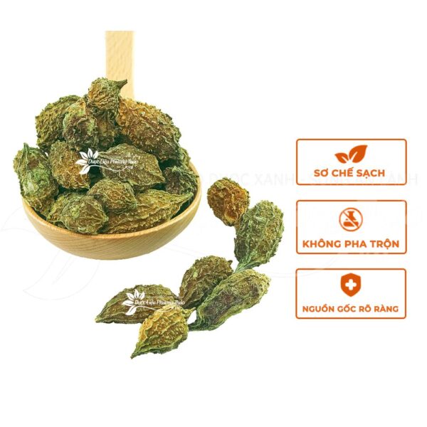 Khổ Qua Rừng 4 kho qua rung 2 1