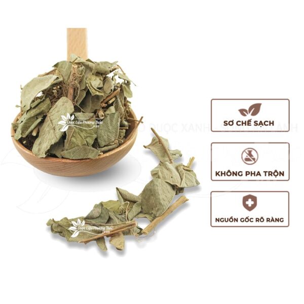 Kim Tiền Thảo 4 kim tien thao 2 1