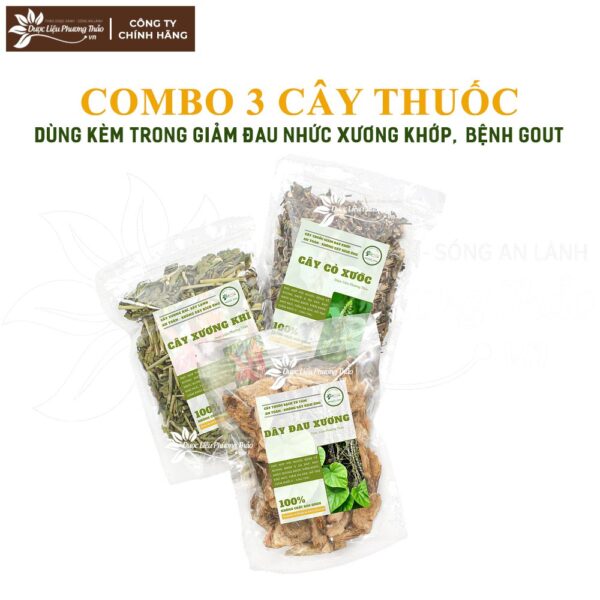 Kim Tiền Thảo 5 kim tien thao 3 1