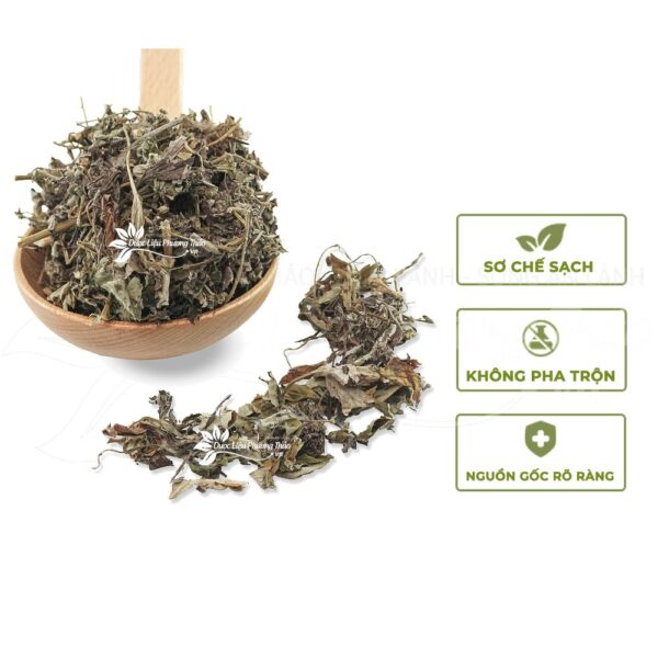 Lá Ngải Cứu 4 la ngai cuu 2 1