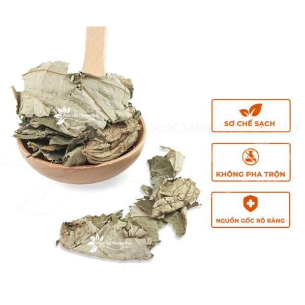 Lá Sen 4 la sen 2 1