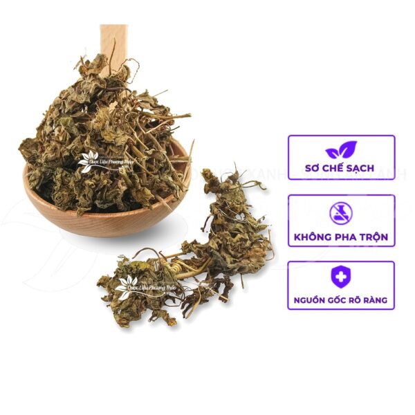 Cây Lạc Tiên 4 lac tien 2