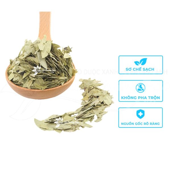 Phan Tả Diệp 4 phan ta diep 2 1