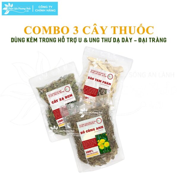 Phan Tả Diệp 5 phan ta diep 3 1