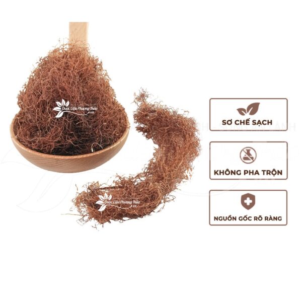 Râu Bắp 4 rau bap 3 1