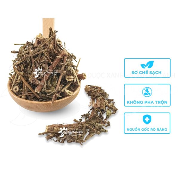 Cây Rau Mương 4 rau muong 2