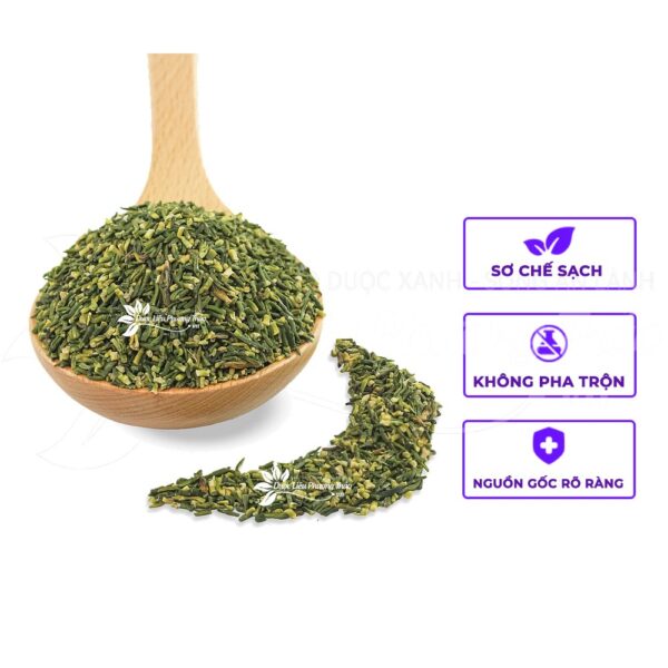 Tim Sen 4 tim sen 2 1