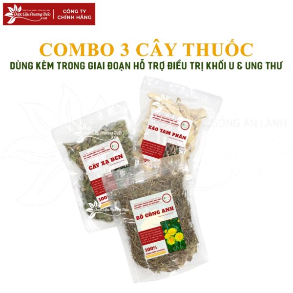 trinh nu hoang cung 3 1