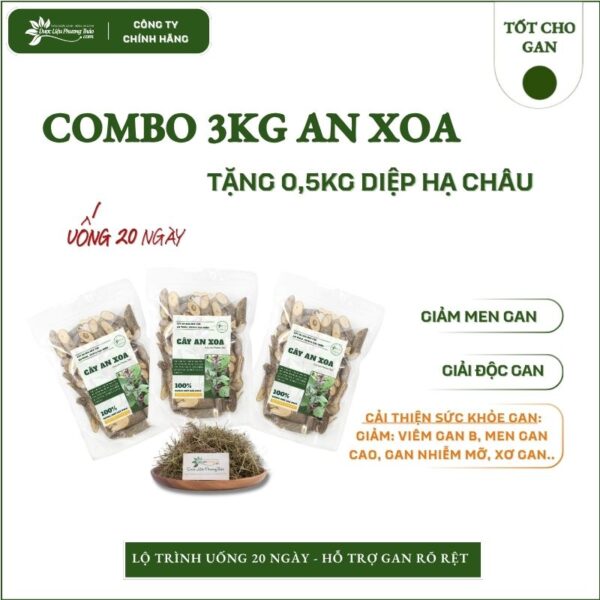 3kg an xoa tặng 0,5kg diệp hạ châu