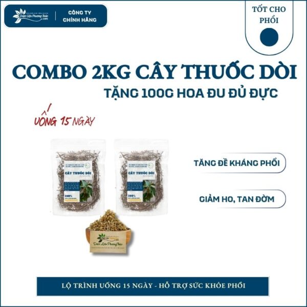 3kg Cây Thuốc Dòi tặng 100g Hoa Đu Đủ Đực