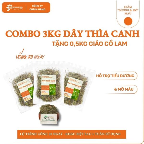 3kg Dây Thìa Canh tặng 500g Giảo Cổ Lam