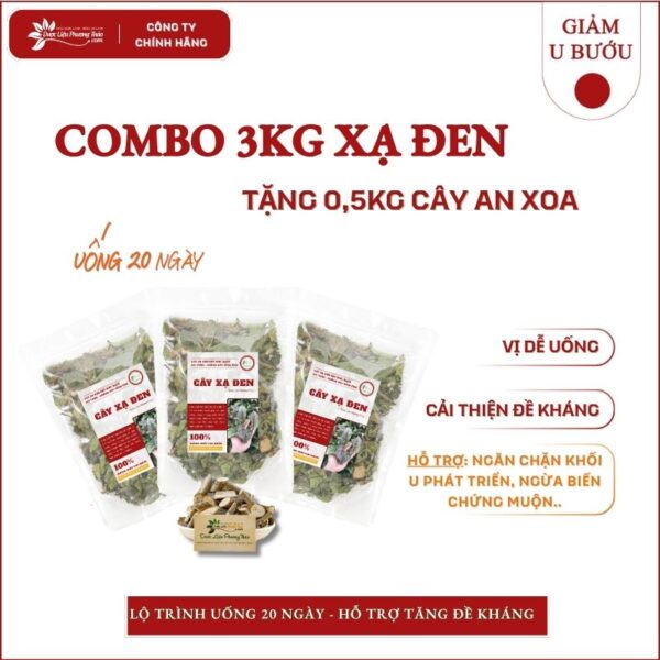 3kg Cây Xạ Đen tặng 0,5kg An Xoa
