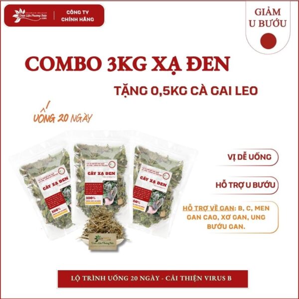 3kg Cây Xạ Đen tặng 500g Cà Gai Leo