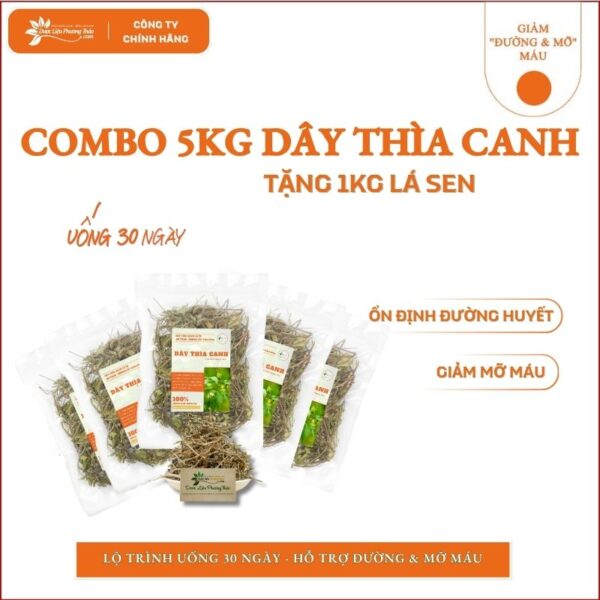 5kg Dây Thìa Canh tặng 1kg Lá Sen