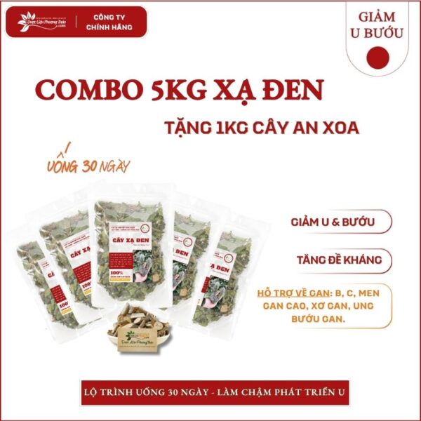 5kg Cây Xạ Đen tặng 1kg An Xoa