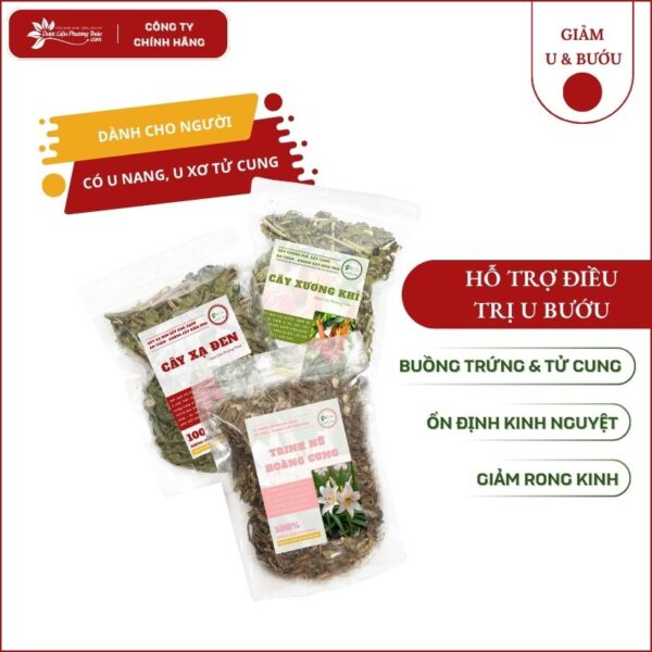 Hỗ trợ U Buồng Trứng Tử Cung