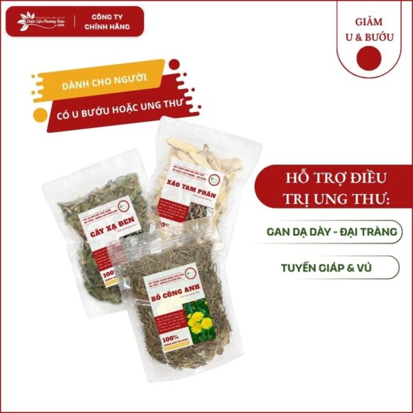 Hỗ trợ U Dạ Dày Đại Tràng