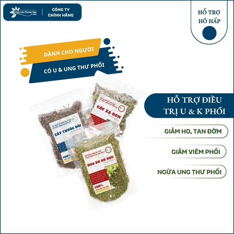 Cây Thuốc Dòi Tím