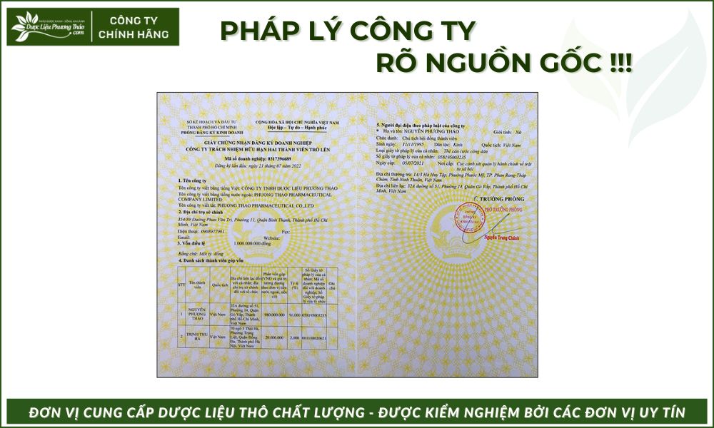 Rễ Mật Nhân 6 nhóm bệnh GAN