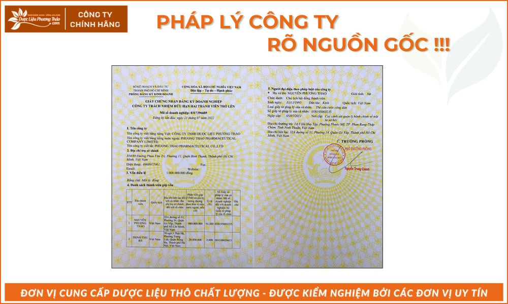 Nhóm Mỡ Máu & Tiểu Đường