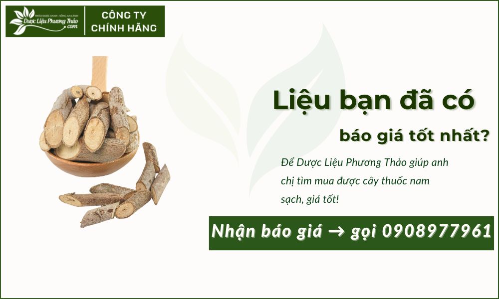 cây an xoa rừng khô