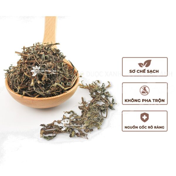 Cây cỏ mực 4 cay co muc 2