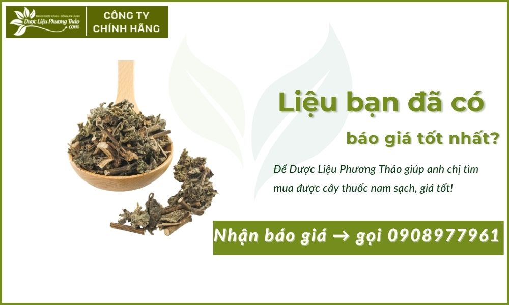 Cây Cỏ Xước