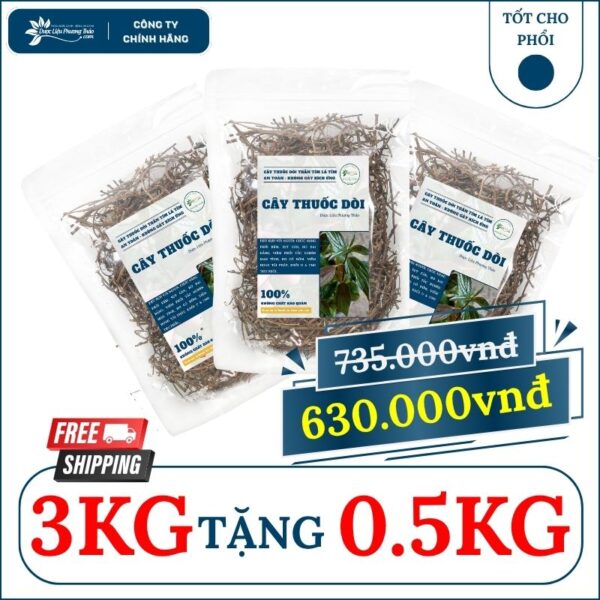 3kg Cây Thuốc Dòi tặng 500g