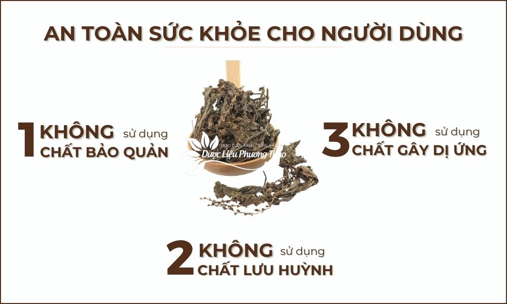 Cây Mã Đề