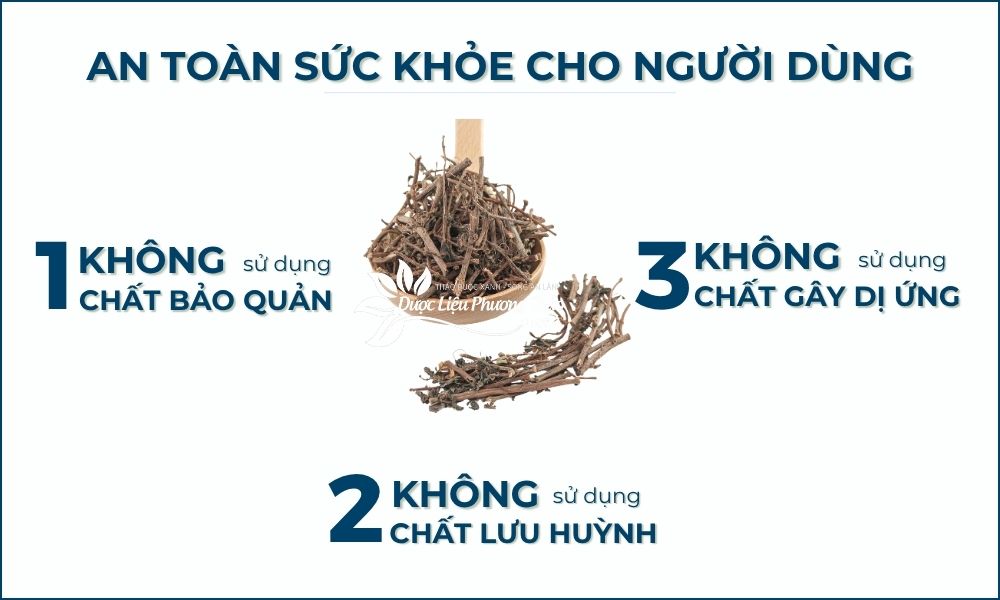 Cây Thuốc Dòi Tím