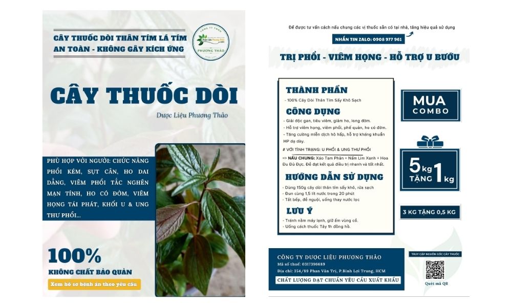 Cây Thuốc Dòi Tím