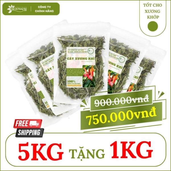 5kg Cây Xương Khỉ tặng 1kg