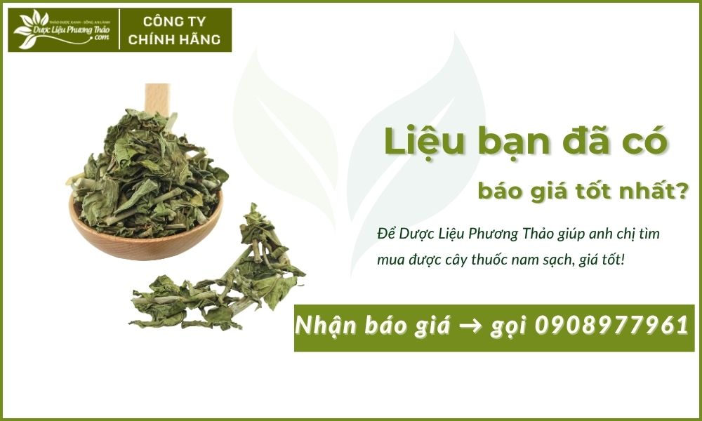 Cây Xương Khỉ