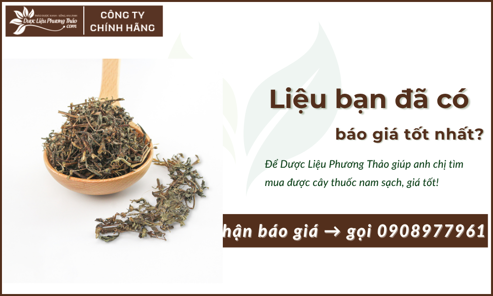 cỏ mực