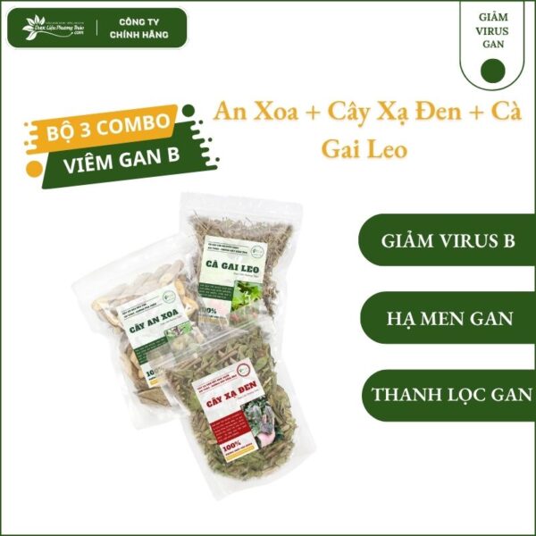 Hỗ trợ viêm gan B