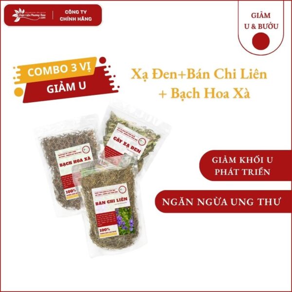 Hỗ trợ đồng hành u bướu