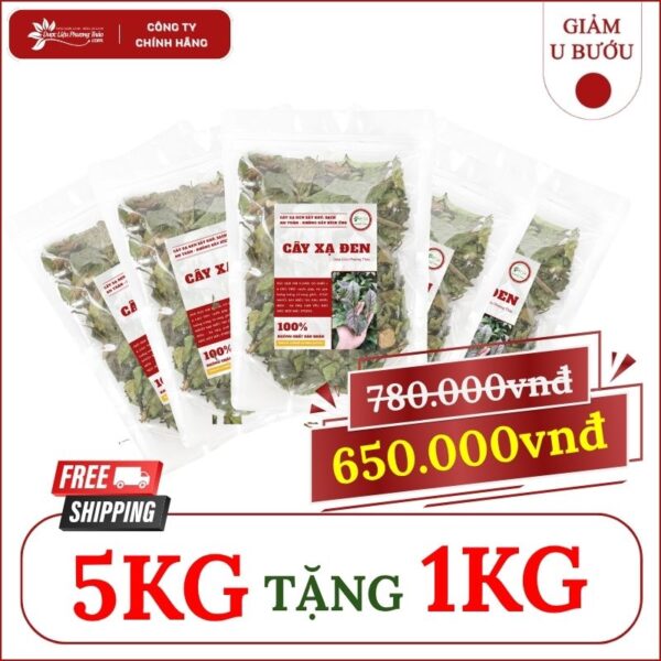 5kg Cây Xạ Đen tặng 1kg